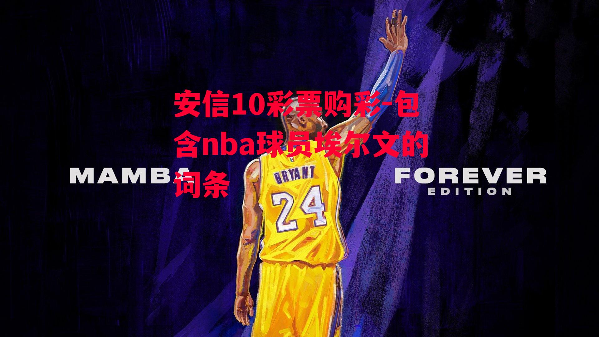 包含nba球员埃尔文的词条